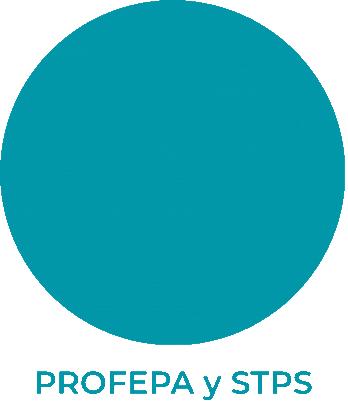 PROFEPA y STPS